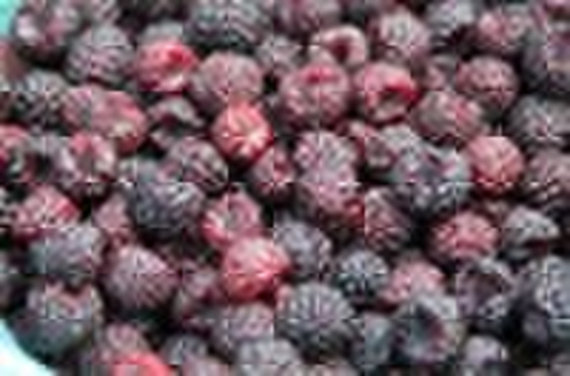 IQF black raspberry(frozen fruit)