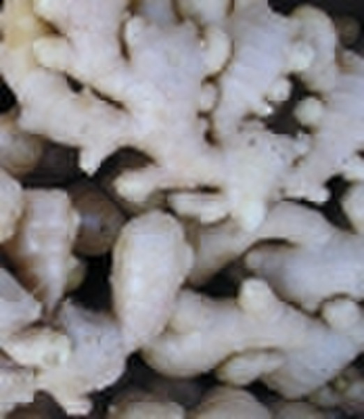 Fresh ginger