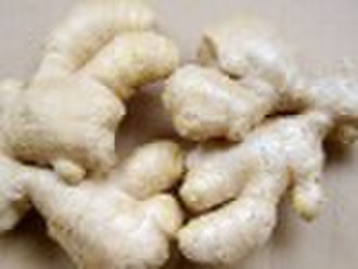 Dry Ginger