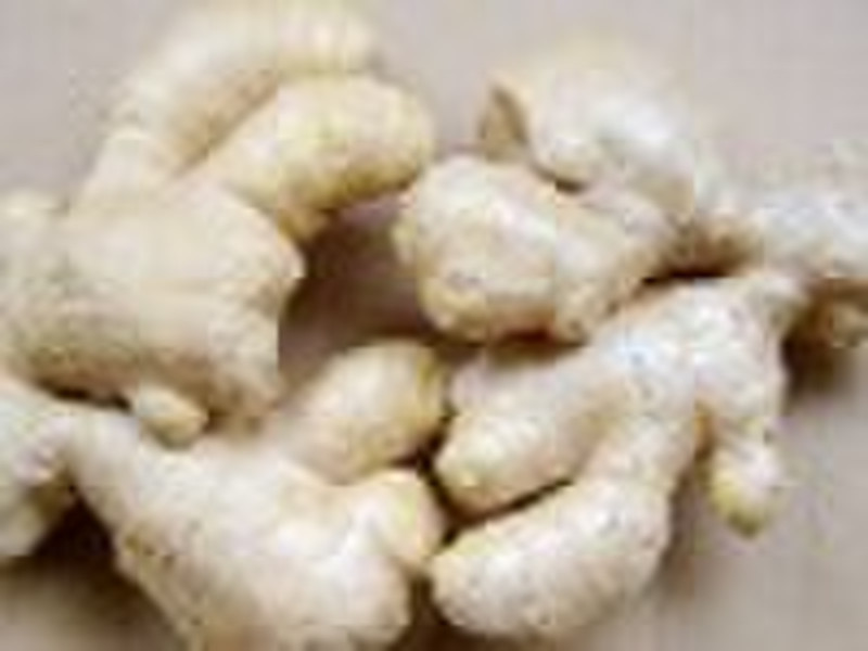 Dry Ginger