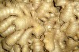 dry ginger