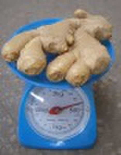 Fresh Ginger
