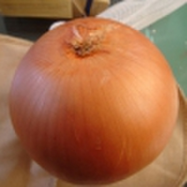 onion