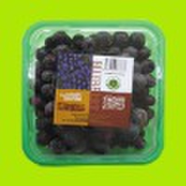 frozen fruit  blueberry