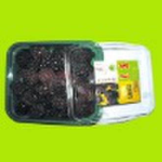 frozen fruit  blackberry