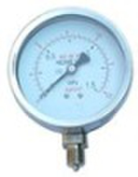 pressure gauge