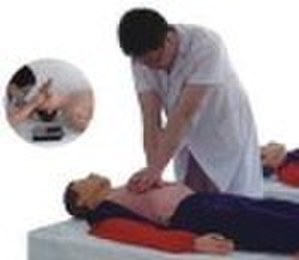 Whole-body CPR training manikin,medical model