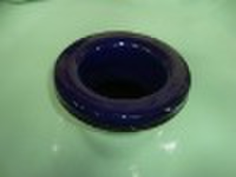 glass lined nozzle