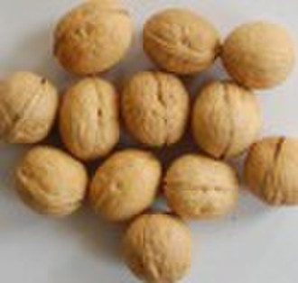 walnut