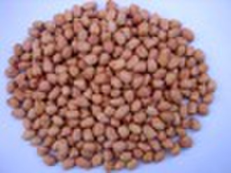 peanut kernels (round type)