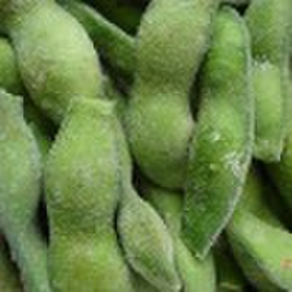 IQF Organic Edamame soybean/frozen organic edamame