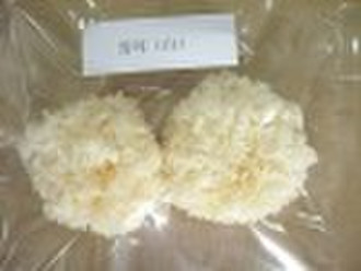 白真菌(tremella)