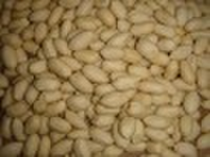 Blanched peanuts