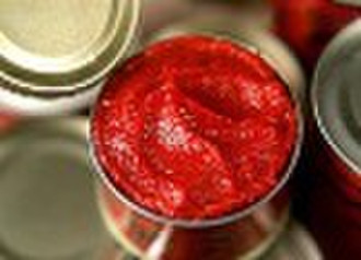 tomato paste Premium Quality Assured