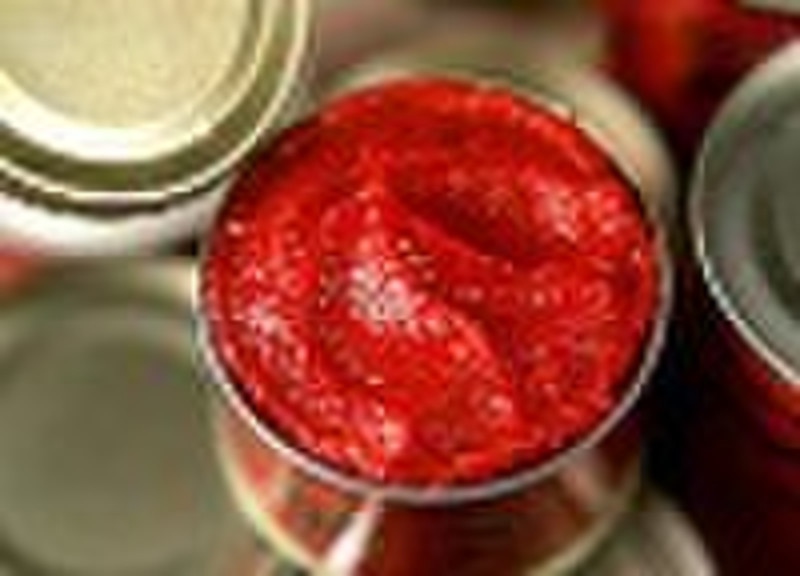 tomato paste Premium Quality Assured