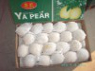 China ya pear