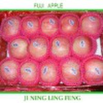 Fresh Fuji Apple