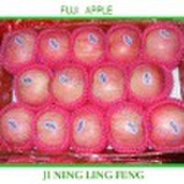 Fresh Fuji Apple