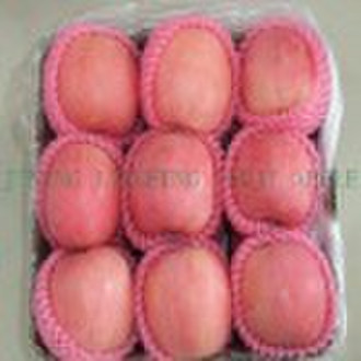 Chinese Fuji Apple