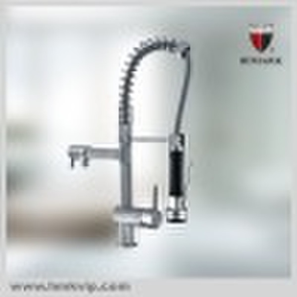 Pull Out Spray  Single Lever Kitchen Faucet