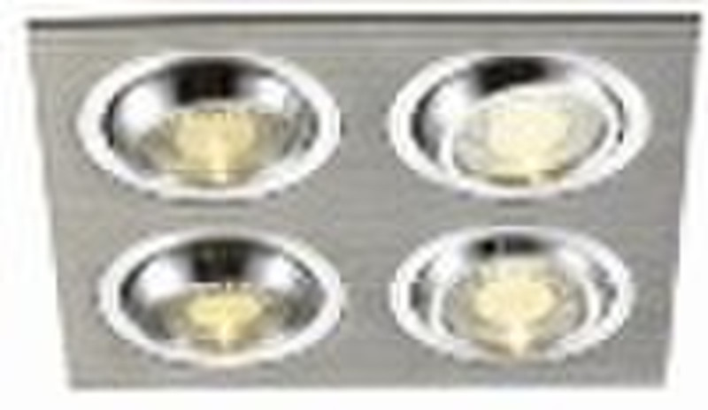 Pure Aluminum  Ceiling Light
