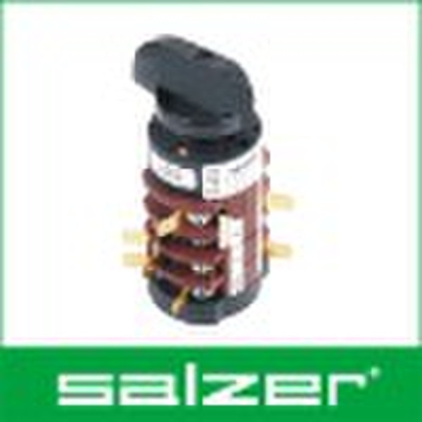 Salzer Cam Switch