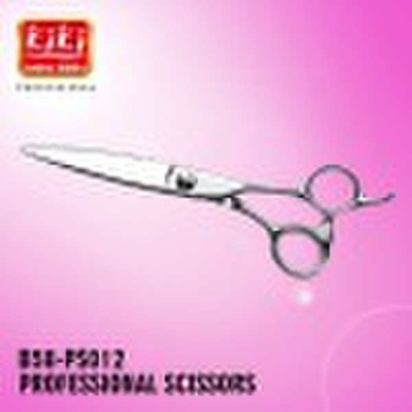 Professional Hair Scissors