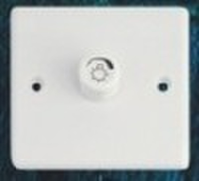 BG 2 gang speed dimmer switch socket