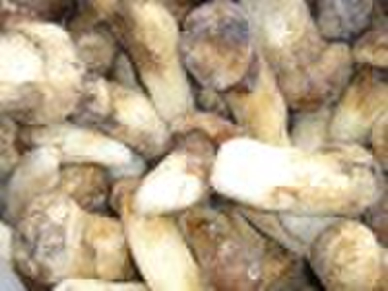 冻结matsutake