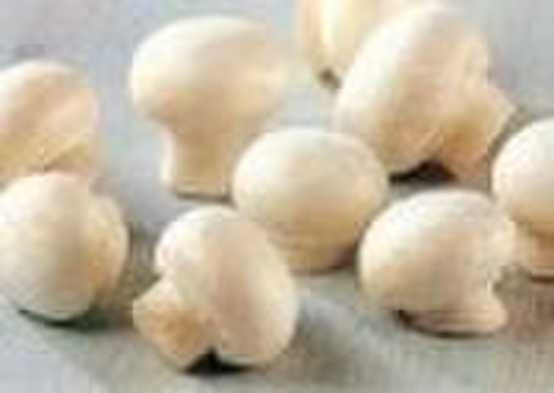 common cultivatea mushroom