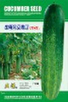 ZN Crossbred Cucumber seed(129)