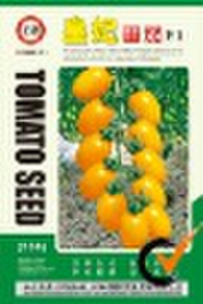 Hang fei Tomato Seed F1