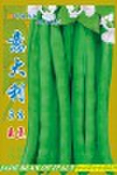 Italy No. 38 Jade Bean Seed