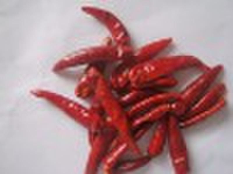 dry  chilli