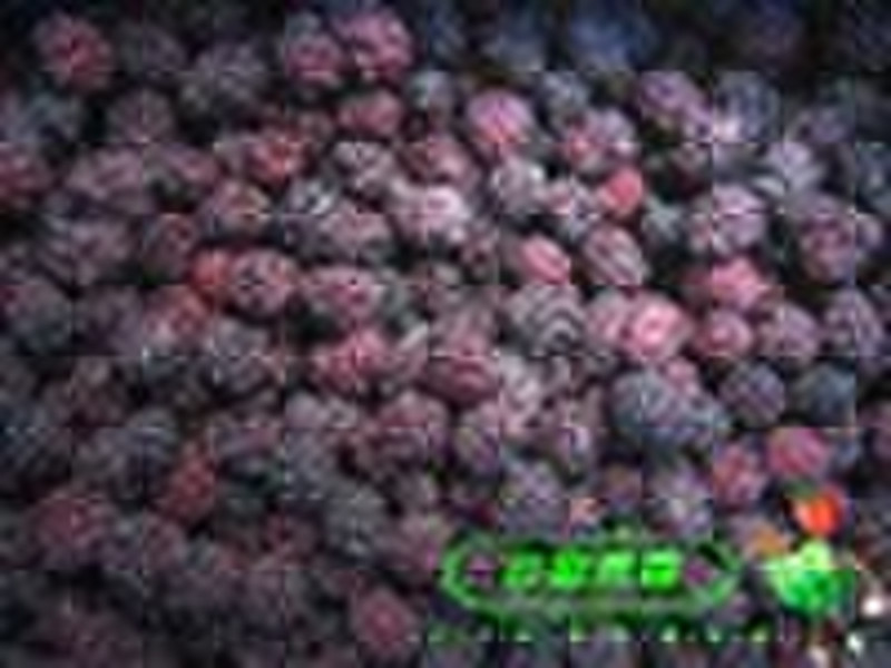 IQF Brombeeren