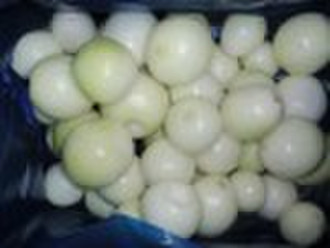 fresh peeled onion
