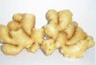 fresh ginger
