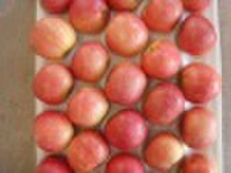 Fresh Red Fuji Apple