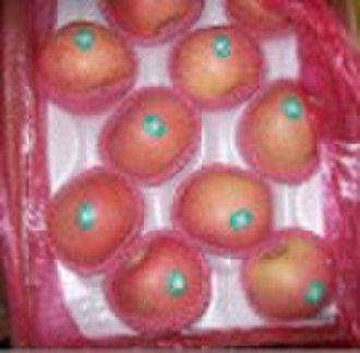 red fuji apple