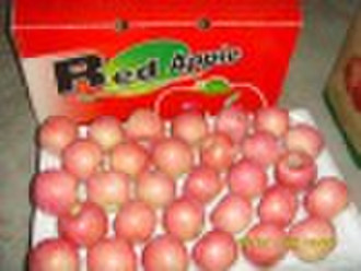 Chinese Fresh Fuji Apple