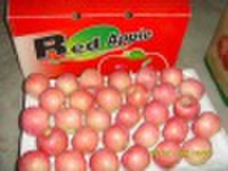 Chinese Fresh Fuji Apple