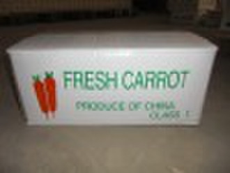 fresh carrot
