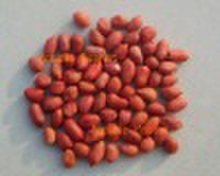 red skin peanut kernel