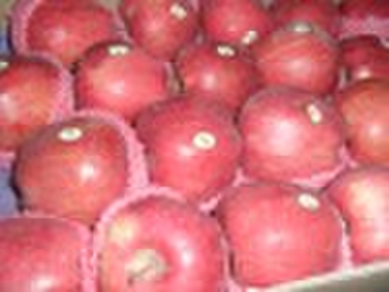 chinese red apple Huaniu