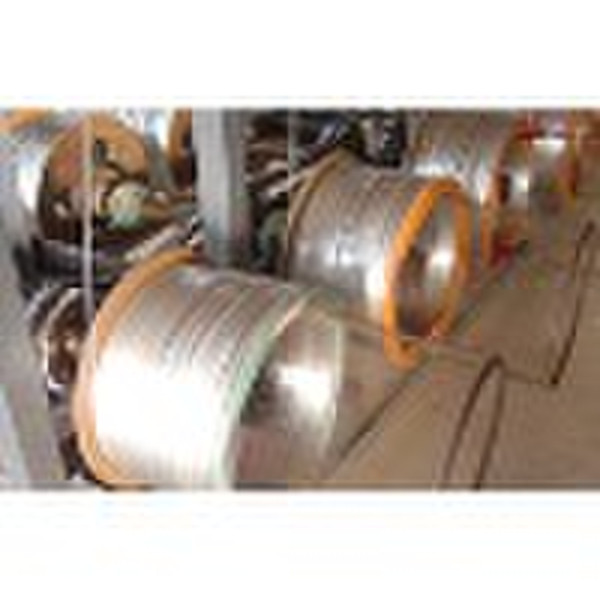 Electro Galvanized Steel Iron Wire