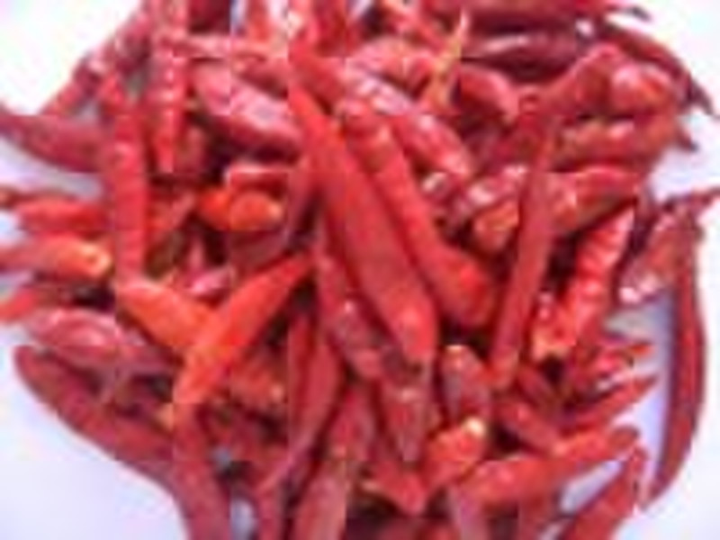 hot chili (tianjin chili,chaotian chili)