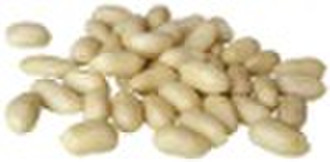 blanched peanut