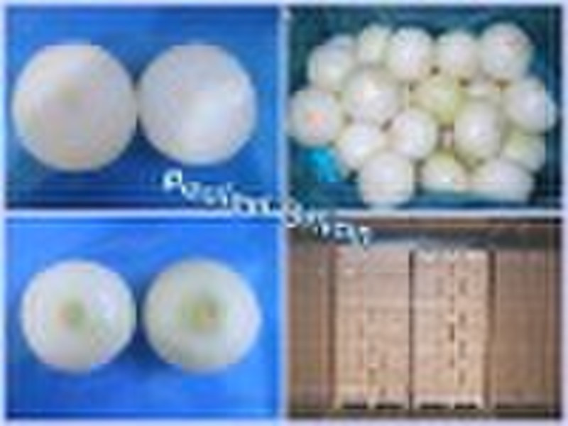 Fresh Onion from Qingdao Harvest Foodstuffs Co.,Lt