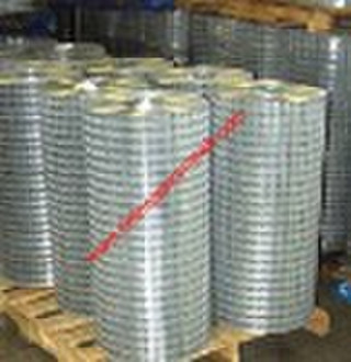 Welded Wire Mesh