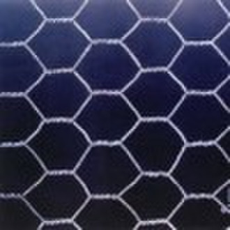 Hexagonal wire netting